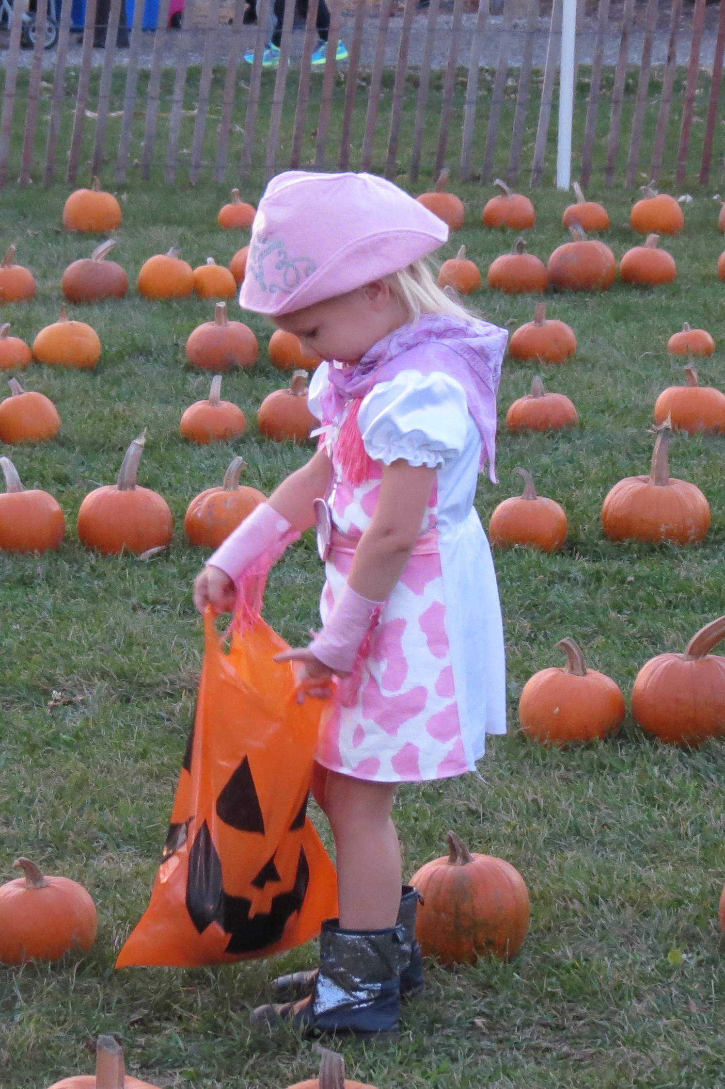 girl in Pumpkin Patch